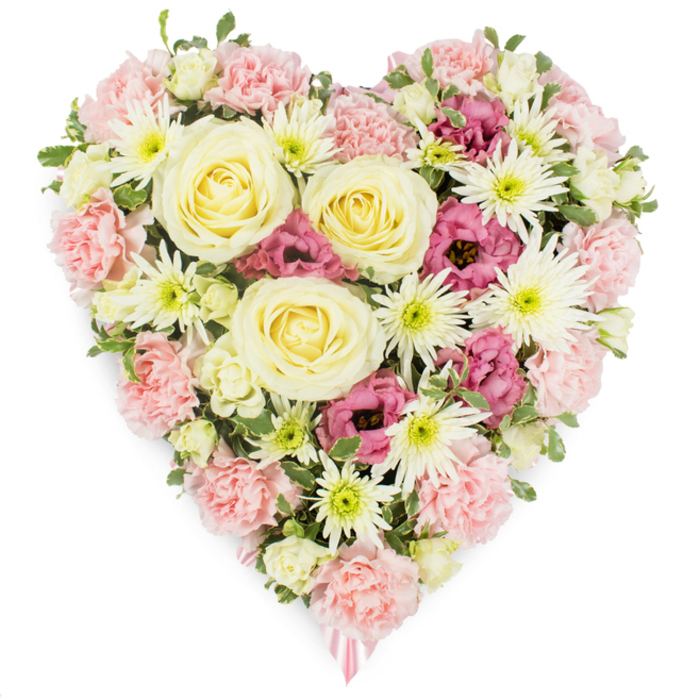 A meticulously crafted heart-shaped flower arrangement appears against a pristine white background, its outline defined with clarity and tenderness, the kind of tribute a Farnborough florist might prepare for a final farewell at the local crematorium or a quiet service off Farnborough Road. The heart is lush and dense, every inch filled with flowers in a carefully balanced palette of creamy yellow, soft shell-pink, crisp white, and deep magenta accents. At the centre, several large, creamy-yellow roses stand out as the main focal blooms, their perfectly layered, spiralling petals suggesting warmth, loyalty, and enduring love. Surrounding and supporting them are numerous pale pink carnations, their delicately ruffled edges overlapping to form a soft, textured bed of colour that gives shape and volume to the heart. Bright white spider chrysanthemums are scattered with intent throughout the design, their long, fine petals shooting out from greenish centres to create a starburst effect that brightens the composition and adds intricate detail. Deep fuchsia to burgundy-pink lisianthus blooms, with their graceful, cup-like forms, are tucked between the pastel flowers, introducing depth of tone and a slightly more dramatic note without overpowering the gentle mood. Small, fresh green leaves and tiny, lighter buds slip between petals, adding hints of movement and natural freshness, as if the arrangement has just been finished in the cool of a Farnborough morning. At the lower point of the heart, a soft pink ribbon emerges subtly, reinforcing the sense of a prepared tribute, suitable for funerals, memorials, or to accompany condolences from loved ones across Farnborough, Cove, or North Camp. The overall impression is one of heartfelt remembrance and quiet, respectful beauty.