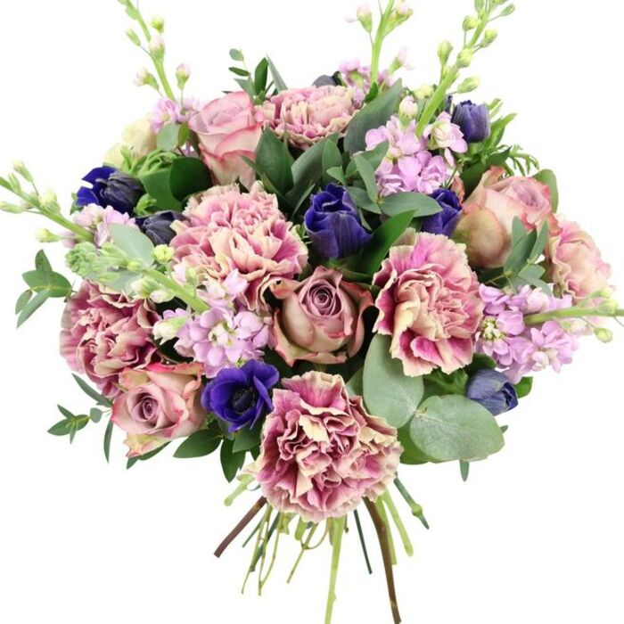A richly detailed hand-tied bouquet sits against a bright white backdrop, allowing every flower and leaf to stand out clearly. The central focus is a cluster of large garden roses, their petals unfolding in layered spirals of dusty rose, blush pink, and soft mauve, creating a romantic core reminiscent of traditional English gardens around Farnborough. Surrounding these roses are numerous ruffled carnations, each bloom full and textured, with creamy bases that fade into blush and deepen into rose and berry tones along the edges. Interlaced among the pinks are compelling touches of deep colour: velvety indigo and royal blue blooms, some in smooth, closed buds that resemble tulips, others open wide like anemones with dark, almost black centres that give the design dramatic intensity. Soft spires of lilac and pale lavender stock flowers weave through the composition, their many small blossoms adding a light, cloud-like softness and a suggestion of gentle fragrance. The entire bouquet is framed and filled with varied greenery: glossy dark green leaves likely from the roses and softly rounded, silvery eucalyptus leaves that introduce cool tones and a fresh, aromatic quality. Slender, bud-tipped stems peep through, adding height and movement without overpowering the main flowers. The stems at the base are tightly gathered in a classic hand-tied style, showing this is a freshly prepared bouquet, ready for delivery from a local Farnborough flower shop. The carefully balanced palette of romantic pinks, serene purples, and rich blues gives the arrangement an elegant, heartfelt character, ideal for marking anniversaries, birthdays, or meaningful milestones.