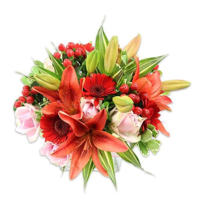 Framed by a stark white setting that highlights its intense colours, this densely packed bouquet reads as a study in complementary contrasts and floral craftsmanship. Dominating the arrangement are several full, fiery orange-red Asiatic lilies-some showing delicate dark speckling across their broad petals, others still curled as buds-their sculptural forms creating a dramatic, upward movement. Nestled around them are deep red Gerbera daisies whose many slender petals form dark-centered rosettes, adding a cheerful and contemporary accent. Pale blush roses thread softness through the composition, their layered petals unfolding from tight buds into classic, romantic blooms that temper the bouquet's boldness. Small, glossy hypericum berries in bright red create clustered highlights and a tactile counterpoint to the smoother flower faces. The greenery is abundant and varied: lush, broad leaves provide a rich backdrop while variegated sprigs with lighter green and cream streaks bring lightness and visual depth. The overall texture is sumptuous-papery lilies, satin roses, waxy berries, crisp foliage-inviting both sight and touch. A faint aroma of sweet lilies mingled with warm rose perfume would rise gently from this arrangement, making it fitting for celebratory occasions, romantic gestures, or to lift an interior near Farnborough Hill or the peaceful paths by Cove Brook. Thoughtfully balanced and expertly arranged, the bouquet embodies warmth and generosity, an ideal floral statement to mark birthdays, anniversaries, or to send as a cheery surprise for neighbours and friends across North Camp and the wider Farnborough community.