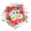 This radiant bouquet glows with the spirit of Farnborough's blossoming green spaces and cheerful community, masterfully arranged to evoke both celebration and comfort. Its heart is a cluster of white daisies, their bright citrus-green centers ringed by perfect white petals, recalling the simple purity of wildflowers found in King George V Playing Fields. Coral-pink carnations nestle closely among them, their plush, ruffled textures adding richness and an almost tactile softness that invites closer admiration. Threaded lightly throughout are airy clouds of baby's breath, their petite white blooms bringing a sense of freedom and lightness, much like an open sky after spring rain. Subtle hints of unopened alstroemeria buds, streaked faintly with magenta and lavender, whisper of transitions and the promise of new beginnings-a perfect flourish for moments of gratitude or encouragement. Lush eucalyptus and other deep green foliage complete the arrangement, offering both subtle fragrance and visual depth. The bouquet's rounded, thoughtfully structured form creates a balanced harmony that is elevated by its clean white backdrop-ideal for showcasing online or sending as a heartfelt gift across Farnborough and nearby Fleet. This bespoke floral display is a gentle reminder of the beauty in the everyday, its colours and textures curated to offer calm, joy, and a touch of local charm to any setting.